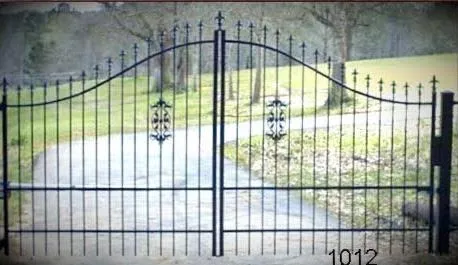 Iron Gate with Decorative Elements